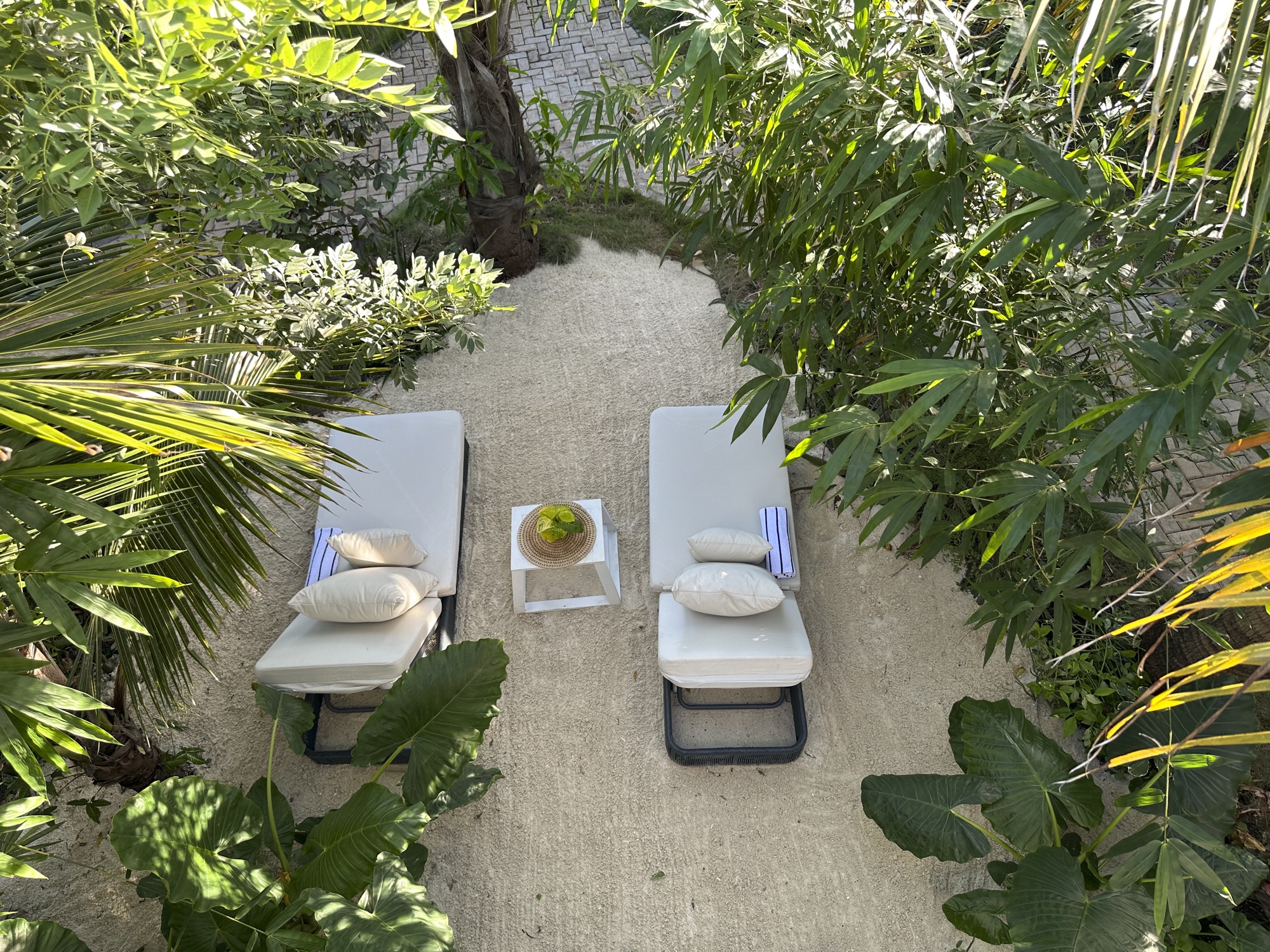 Garden paths through the grounds